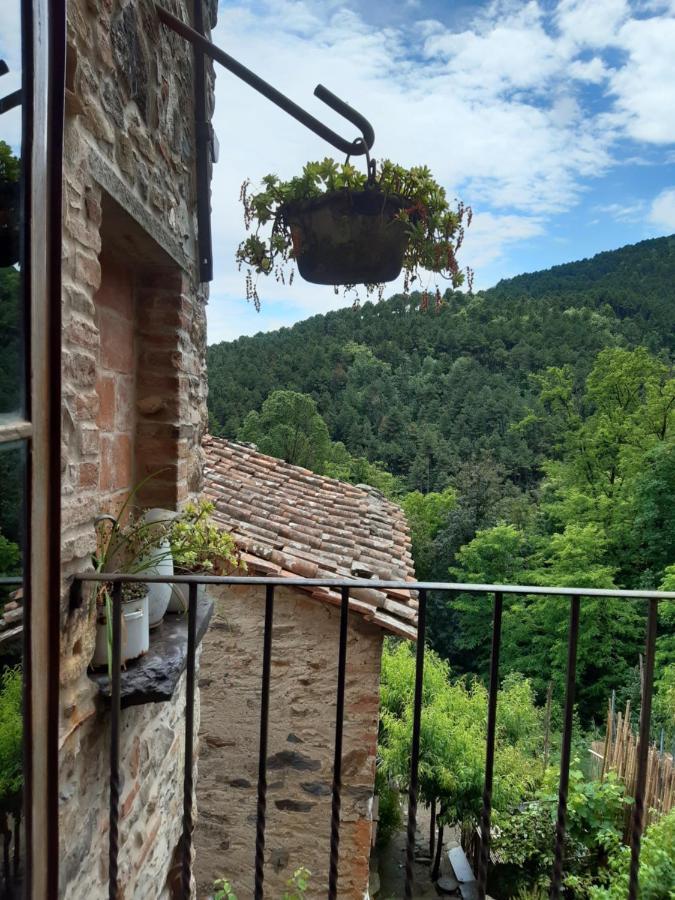 Locanda Del Capo Capannori Extérieur photo